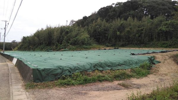 画像11: ハットク® 防草シート 幅2m×50m 100平米 裏張り付シート 【350ｇ＋150g】500g 高品質100平方メートル 商業用 ソーラーパネル 工事用 (11)