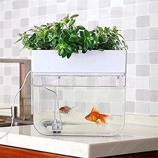 水耕栽培 ポット 育苗 キット 鉢 スポンジ セット 白 ホワイト
