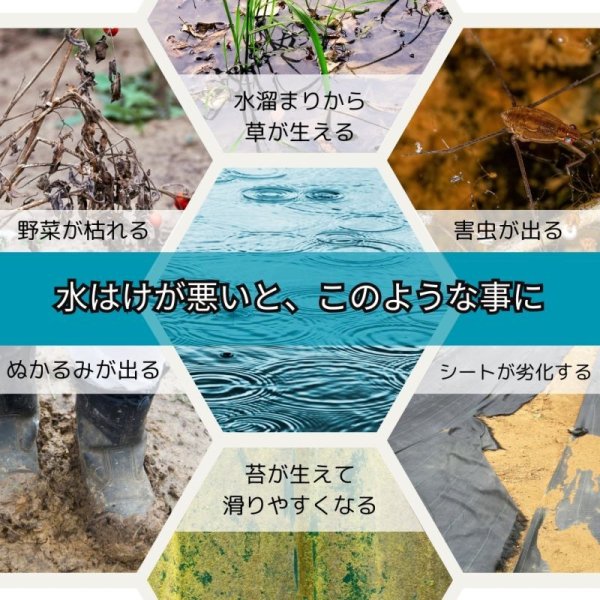 画像6: 畑 防草シート 幅2ｍ×100ｍ 100g/㎡ 200平米 農地 200㎡ 園芸用 農業用 30坪 (6)