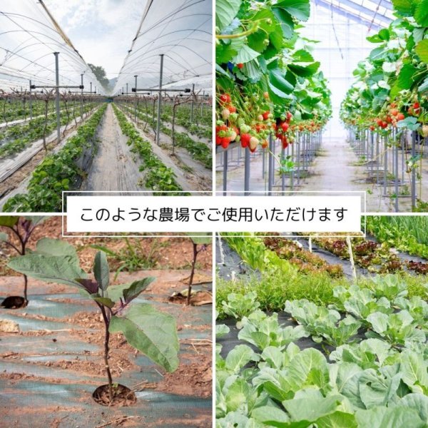 画像14: ハットク® 防草シート 幅1m×50m 300g/m2 耐用年数10年 PET ポリエステル不織布 防草布 50平米 高耐久 高透水 厚み1mm以上 (14)