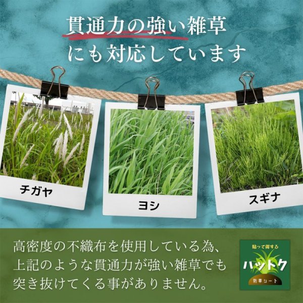 画像9: ハットク® 防草シート 幅1m×50m 300g/m2 耐用年数10年 PET ポリエステル不織布 防草布 50平米 高耐久 高透水 厚み1mm以上 (9)