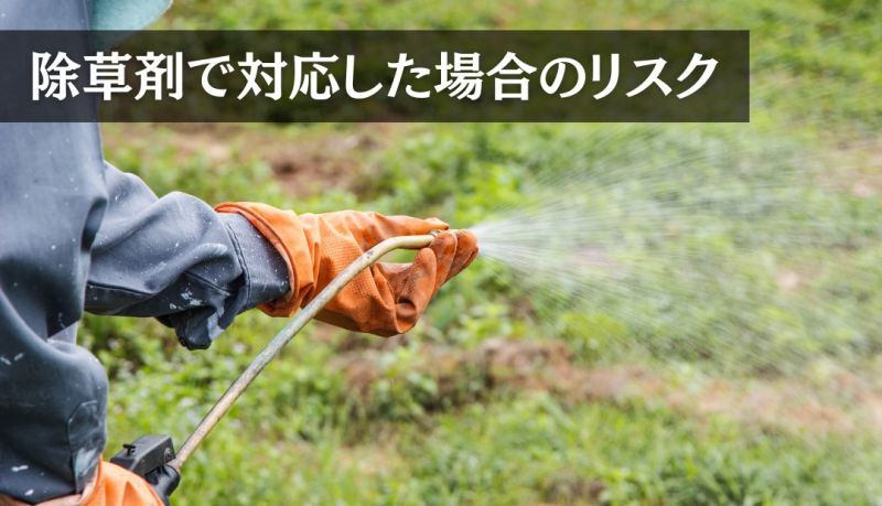 除草剤で対応した場合のリスク